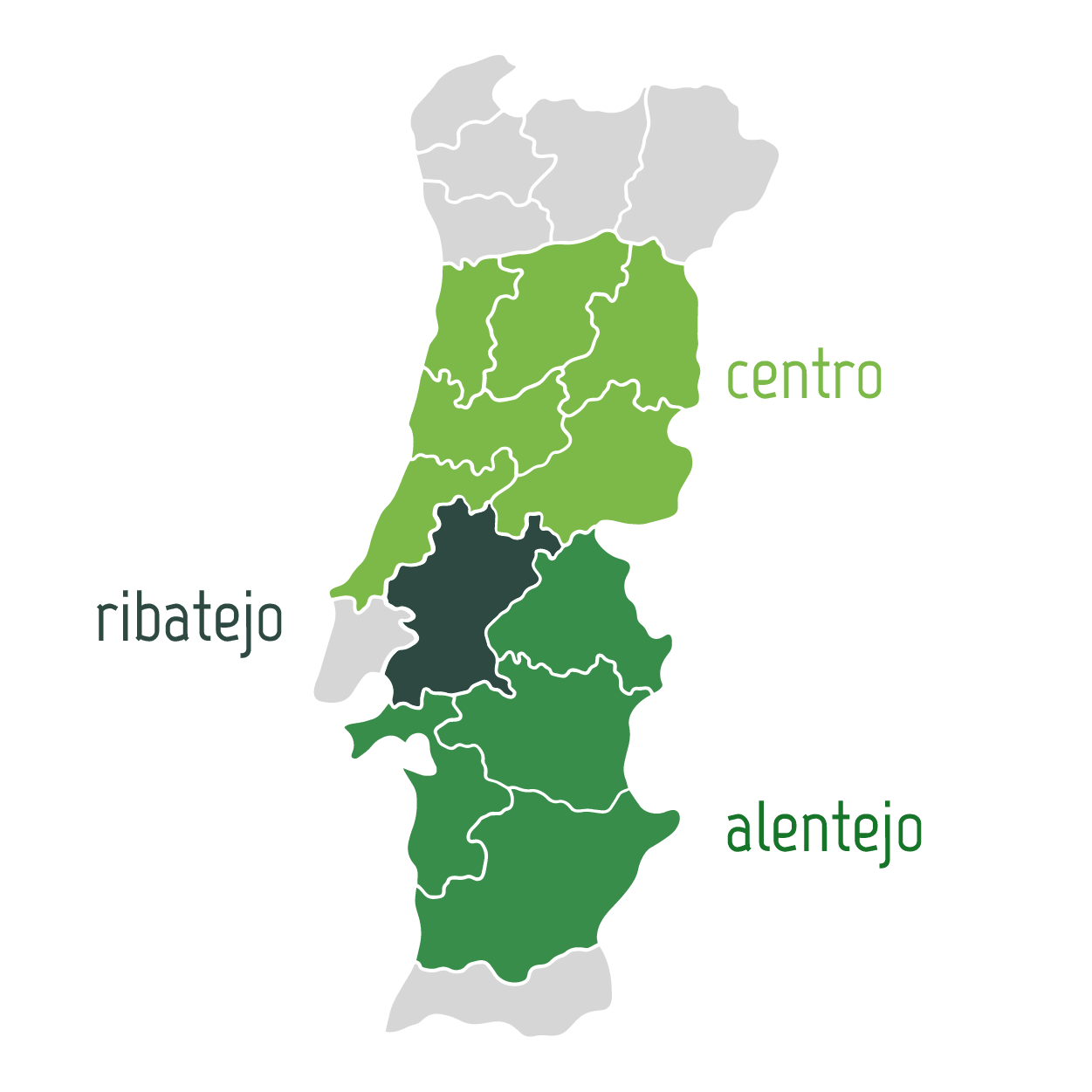 mapa-portugal-sinalizando-as-regiao-alentejo-e-centro-atuacao-projeto-esg-agrifood